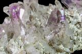 Amethyst Crystal Cluster - Las Vigas, Mexico #155390-1